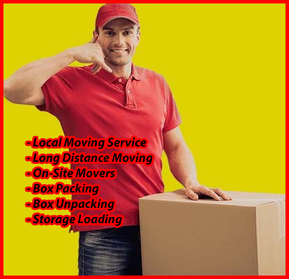 Packers And Movers Noida Sector 95